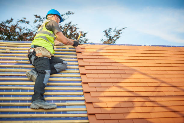 Best Roof Insulation Installation  in Zachary, LA
